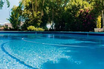 بنسيون Green Olive Guesthouse