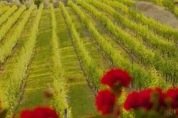 Hotel Costa Degli Ulivi