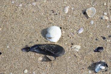 膳宿费 Casa Vacanza Gioia