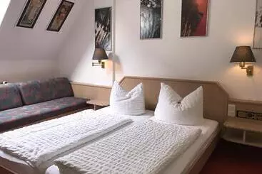 ホテル Landgasthof Grüner Baum   Dittigheim