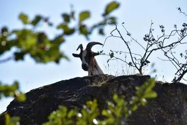 Alberg Naturfreundehaus Veilbronn