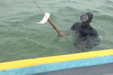 膳宿费 Nallur Residence