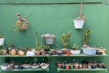 Пансион Pousada Brasil Tropical