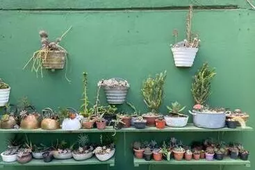 Pension Pousada Brasil Tropical