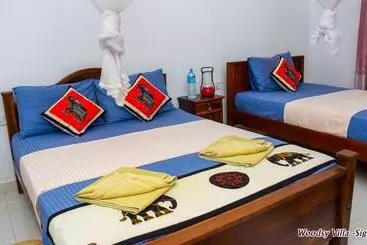Panzió Woodsy Villa
