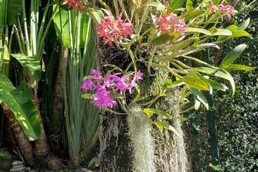 پانسیون Orchid Cottage