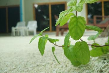 پانسیون Crystal Dhiffushi