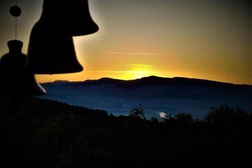 ペンション Conacul Malul Alb