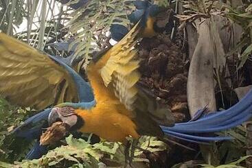 ペンション Pousada E Hostel Caminho De Santiago