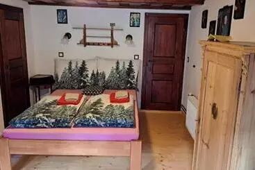 Pensione Penzion Pod železným Vrchem