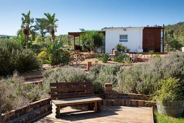 بنسيون Capelands Wine Farm