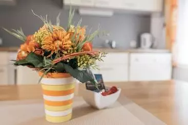 Pensiune Privatzimmer Und Ferienwohnungen Gassner