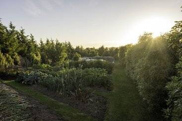 Пансион Ribbonwood Country House