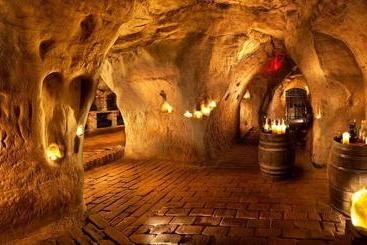 Panzió Váš Sklep Vinný Sklep A Penzion