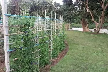 Hotelli Poolvilla Chiangmai