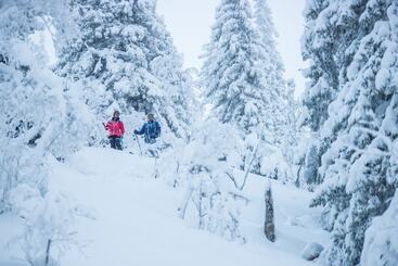 Hotel Mountain Lodge