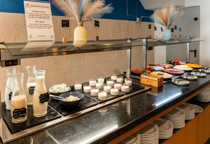 Hotelli Amic Horizonte