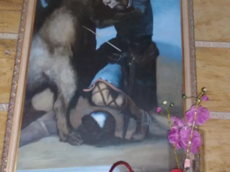 فندق Favila Oviedo