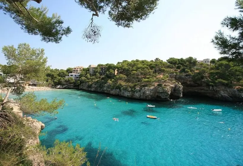 Отель Pinos Playa