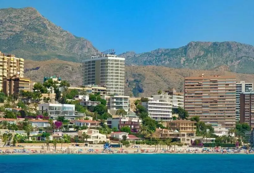 Szálloda Servigroup Torre Dorada