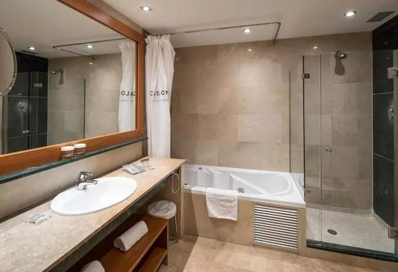 Отель Catalonia Barcelona 505