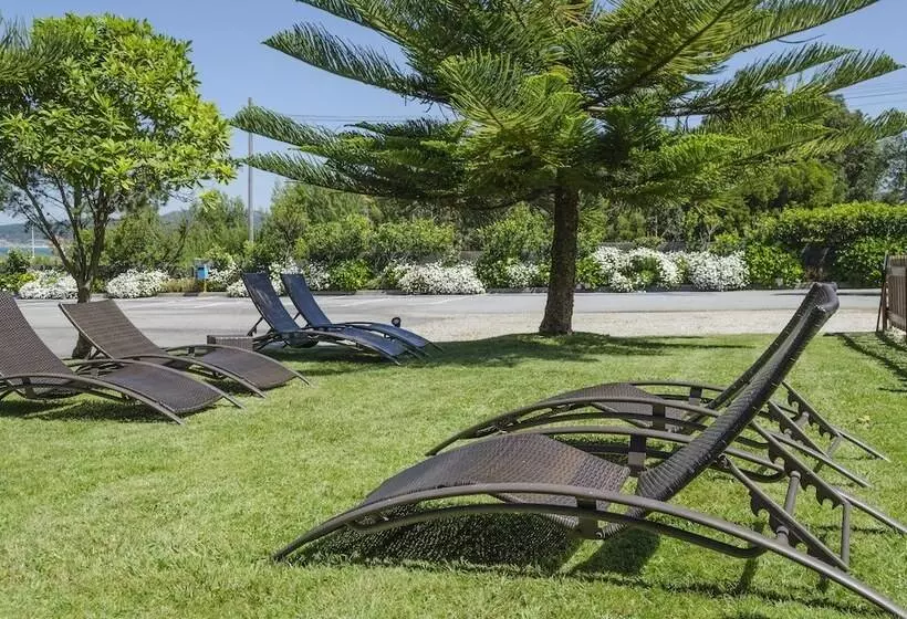 فندق Delfin Azul