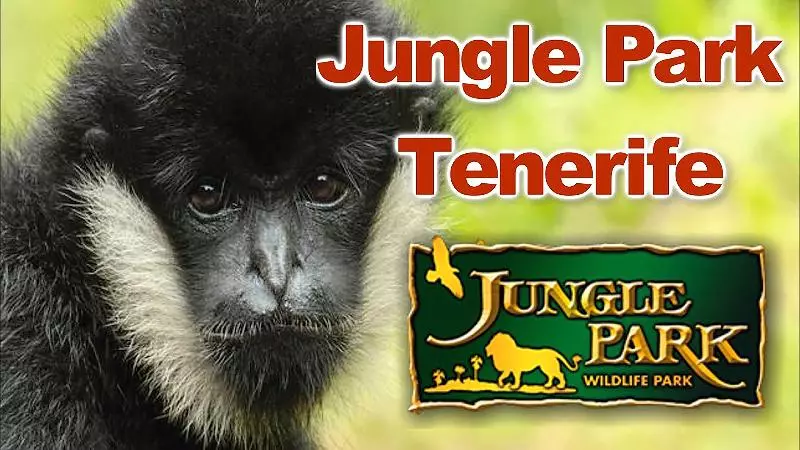 Hotel Adonis Pelinor