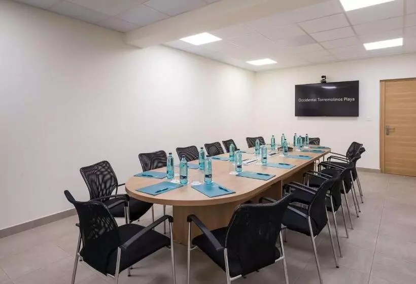 酒店 Occidental Torremolinos Playa