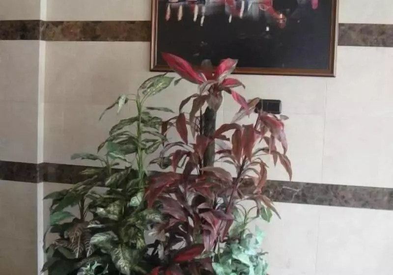 فندق صغير Hostal Serpol