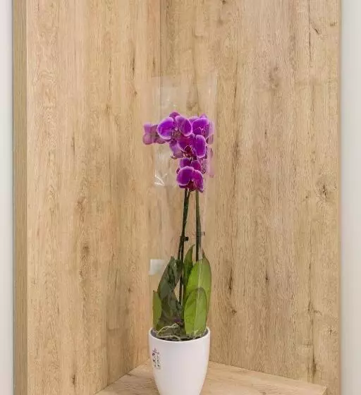 Hostal Manuela By Gaiarooms