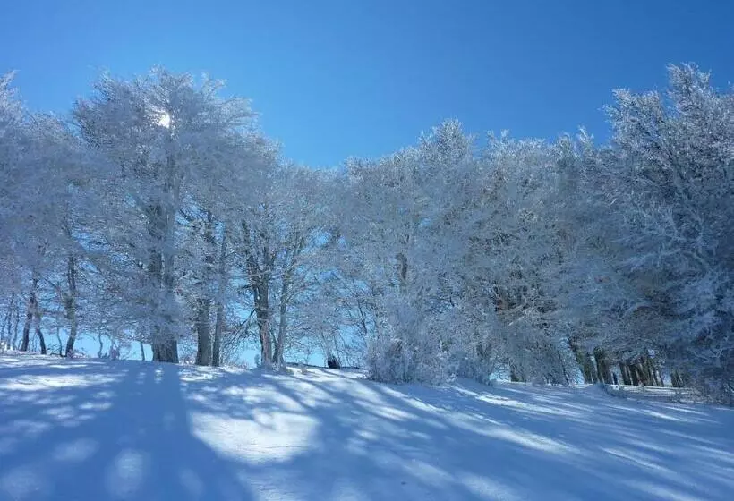 فندق ريفى Rural Auñamendi