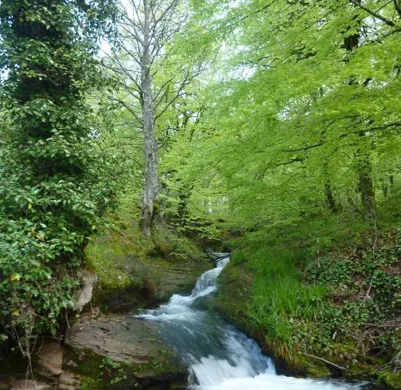 فندق ريفى Rural Auñamendi