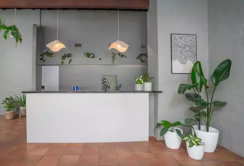 All Seasons Motel Armidale