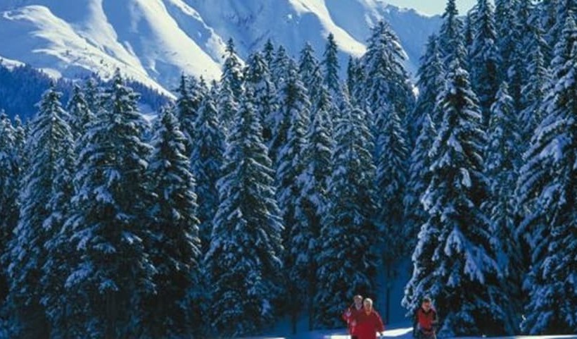 Das Kaltschmid  Familotel Tirol