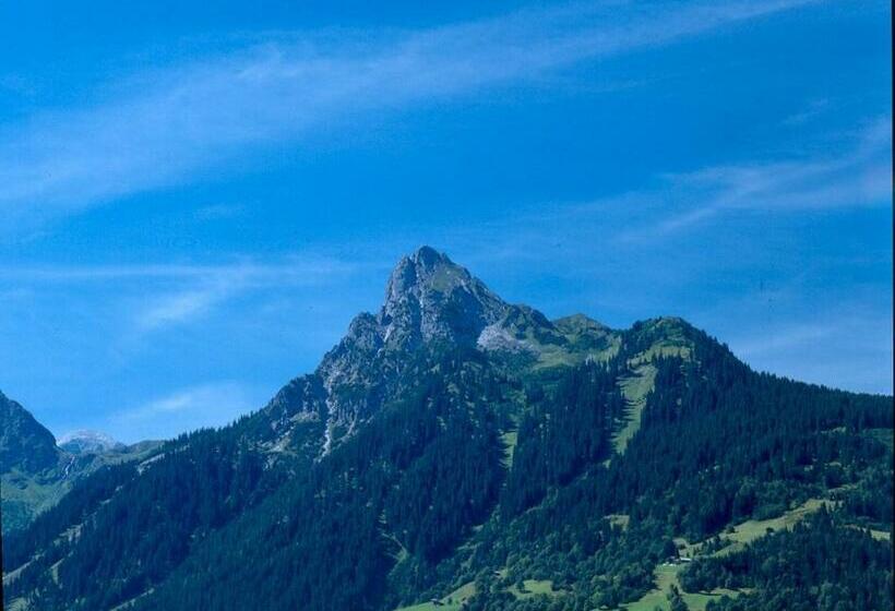 هتل Alpenhof Messmer