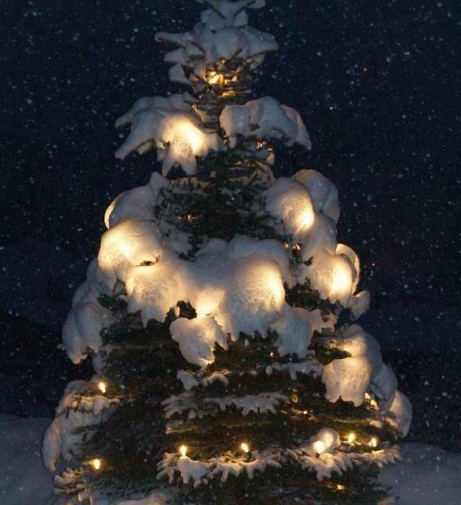 هتل Alpenhof Messmer