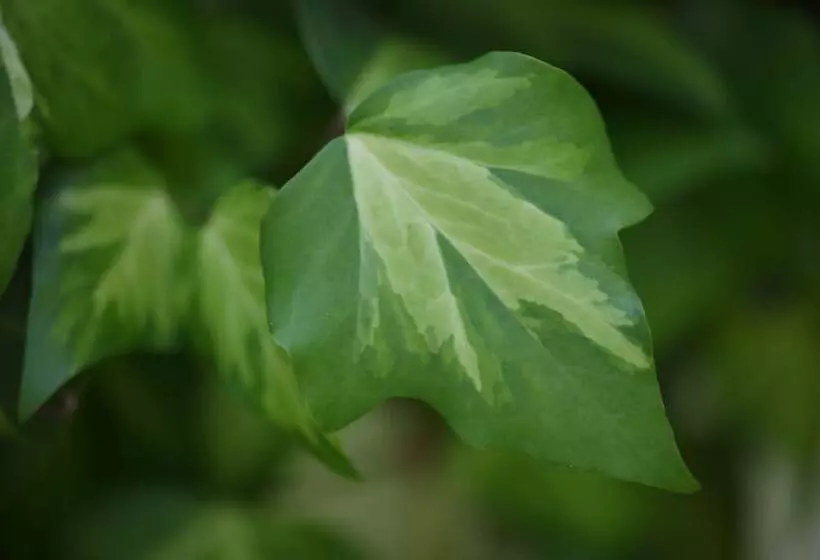 호텔 Holiday Inn Vienna City, An Ihg