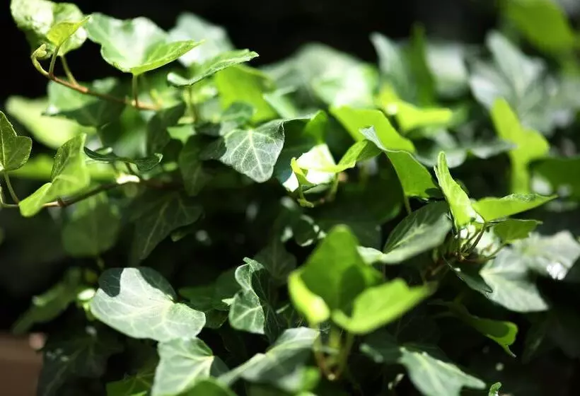 호텔 Holiday Inn Vienna City, An Ihg