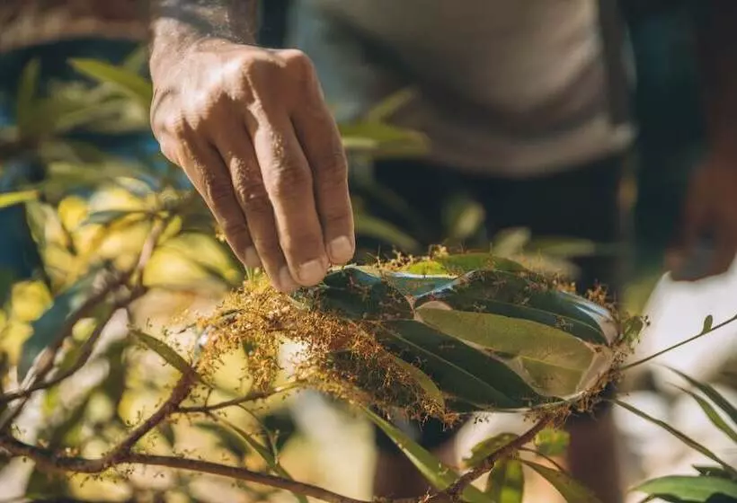 בית מלון כפרי Shangrila The Marina, Cairns