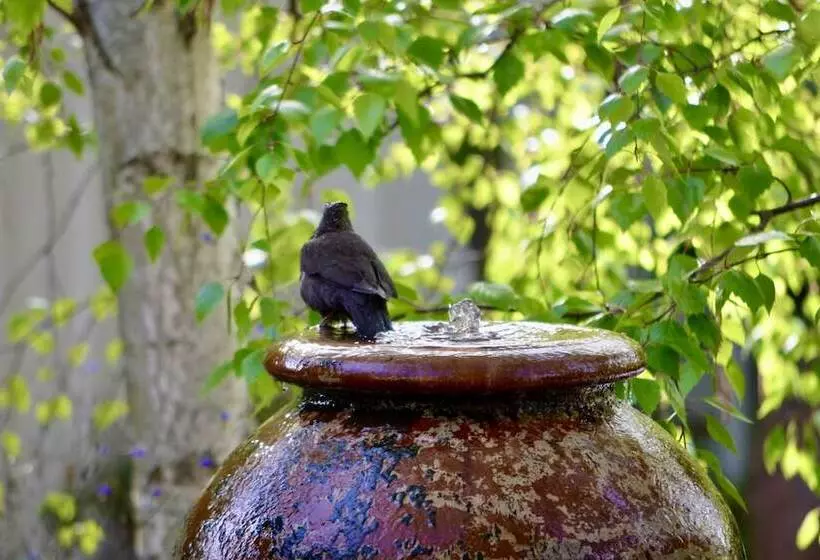 The Eaglehawk Country House Hotel Maldon