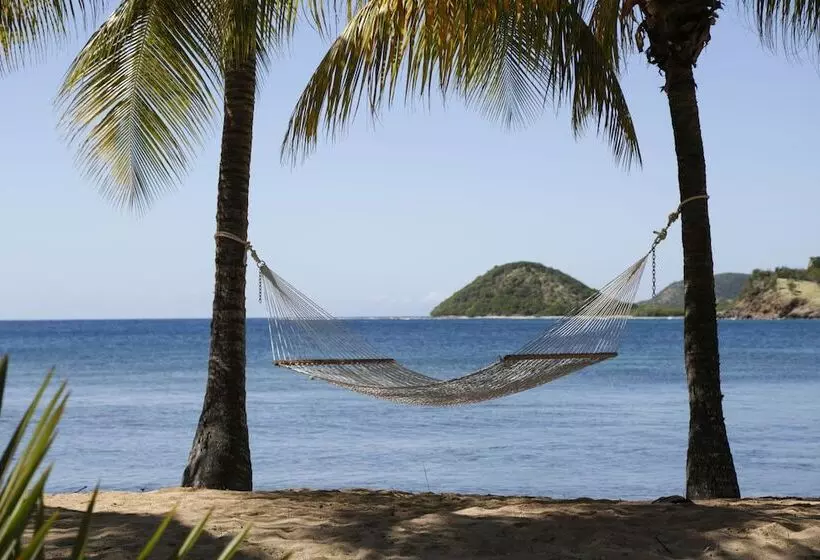 هتل Curtain Bluff All Inclusive