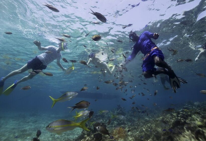 هتل Curtain Bluff All Inclusive