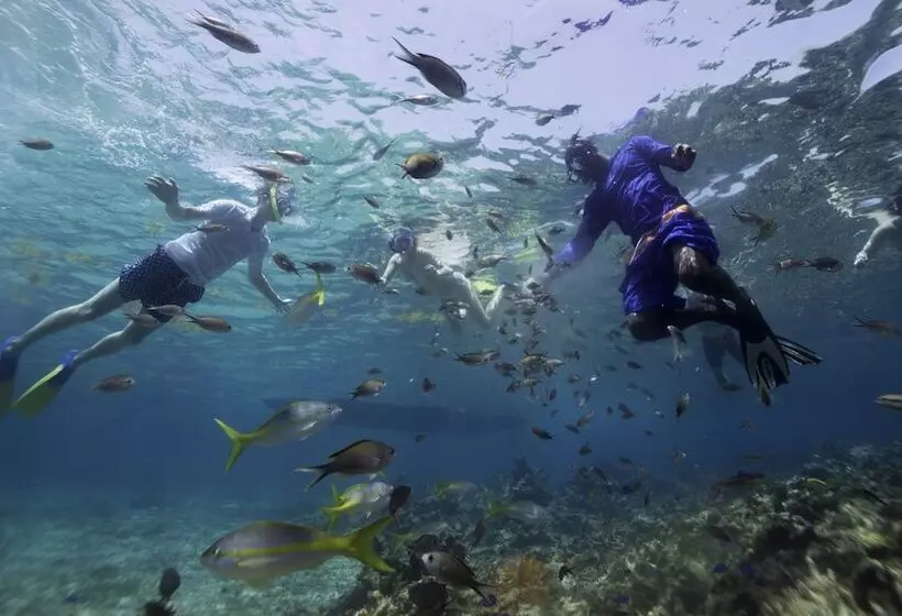 هتل Curtain Bluff All Inclusive