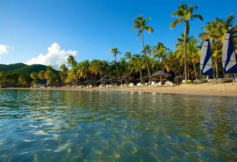 هتل Curtain Bluff All Inclusive