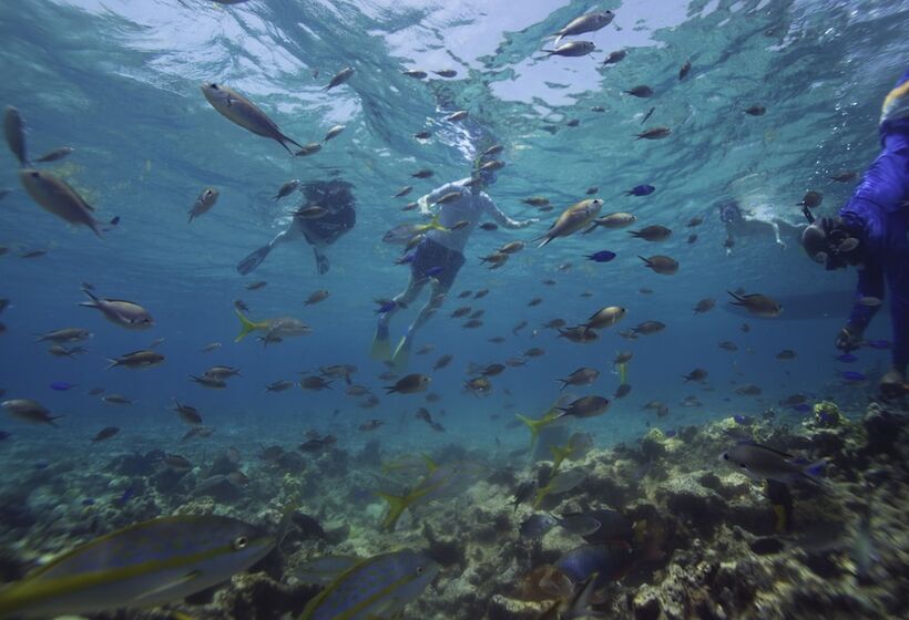 هتل Curtain Bluff All Inclusive