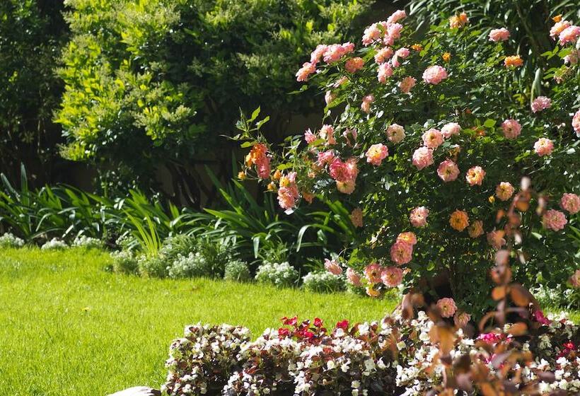 فندق Grand Brizo Comahue