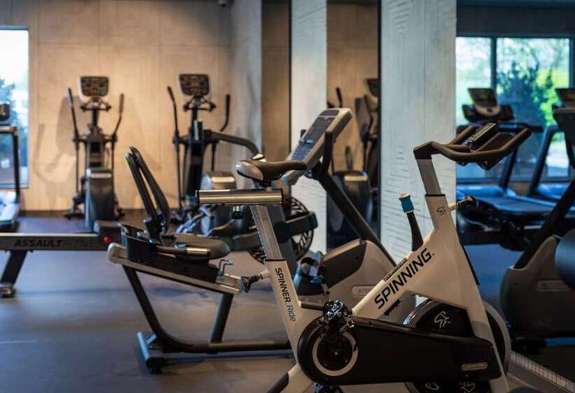 Holiday Inn Hotel Brussels Airport, An Ihg