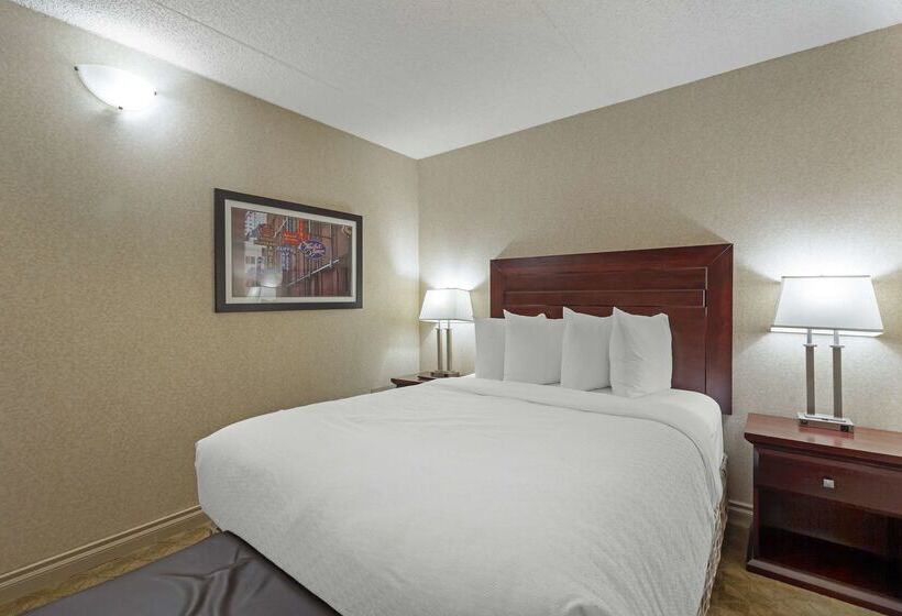 فندق Best Western Plus City Centre Inn