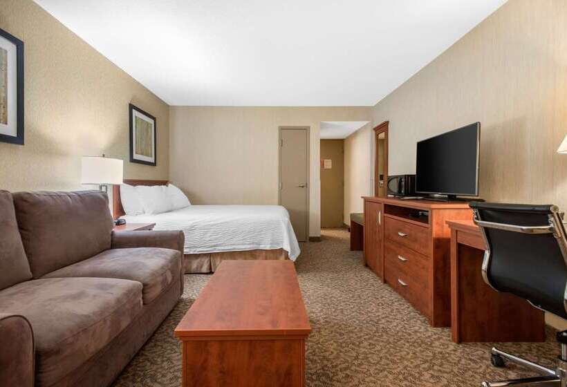 Clarion Hotel & Suites