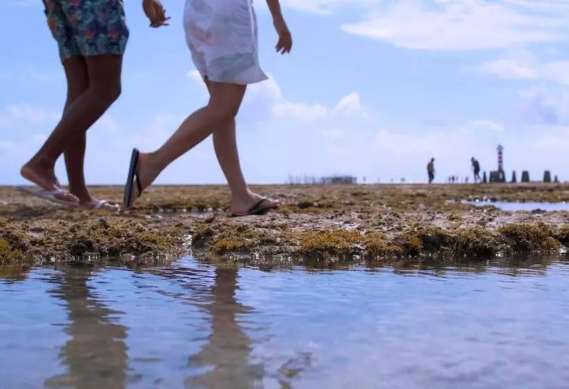 Hotel Slim Pajuçara By Tropicalis